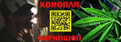 шишки Заводоуковск