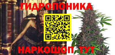шишки Заводоуковск