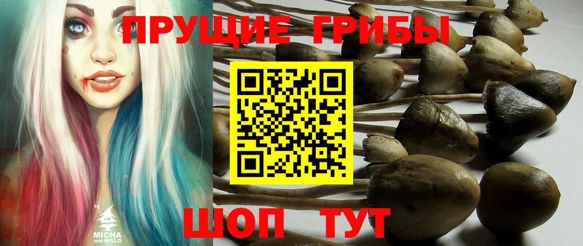 Псилоцибиновые грибы Psilocybine cubensis  Галлюциногенные грибы Psilocybe  Валуйки  Вход с VPN 