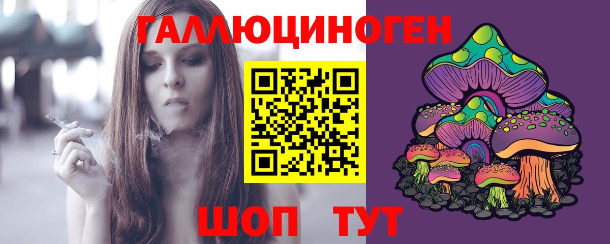 Псилоцибиновые грибы Psilocybine cubensis Валуйки